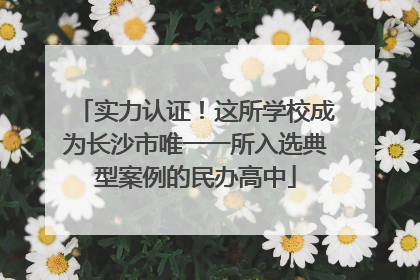 实力认证！这所学校成为长沙市唯一一所入选典型案例的民办高中