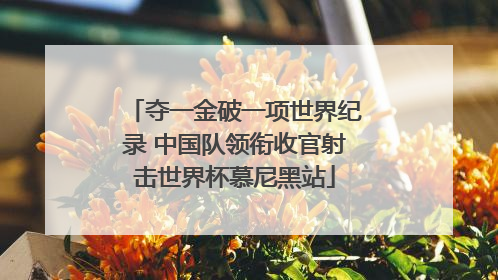 夺一金破一项世界纪录 中国队领衔收官射击世界杯慕尼黑站
