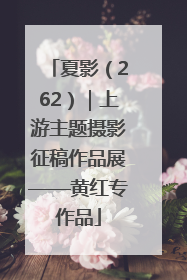 夏影（262）｜上游主题摄影征稿作品展——黄红专作品