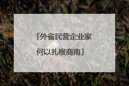 外省民营企业家何以扎根商南