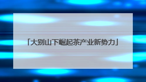 大别山下崛起茶产业新势力