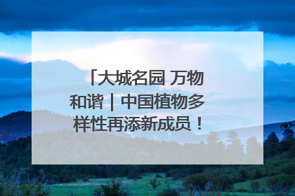 大城名园 万物和谐｜中国植物多样性再添新成员！它只在西藏墨脱
