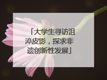 大学生寻访沮漳皮影，探求非遗创新性发展