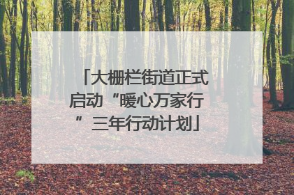 大栅栏街道正式启动“暖心万家行”三年行动计划