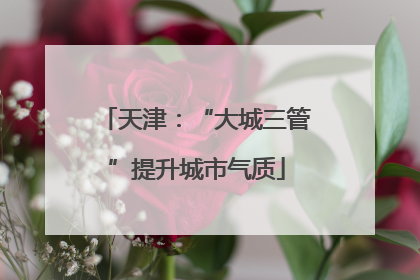 天津：“大城三管”提升城市气质