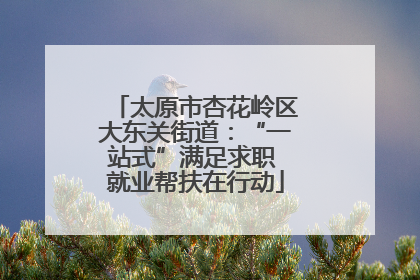 太原市杏花岭区大东关街道：“一站式”满足求职 就业帮扶在行动