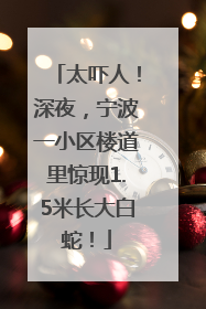 太吓人！深夜，宁波一小区楼道里惊现1.5米长大白蛇！