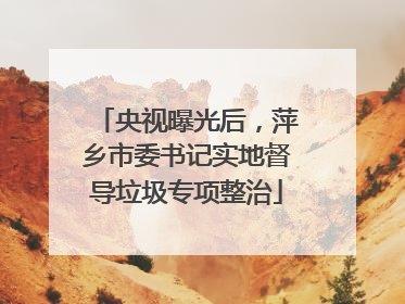 央视曝光后，萍乡市委书记实地督导垃圾专项整治