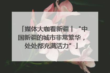 媒体大咖看新疆丨“中国新疆的城市非常繁华，处处都充满活力”