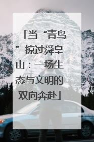 当“青鸟”掠过舜皇山：一场生态与文明的双向奔赴