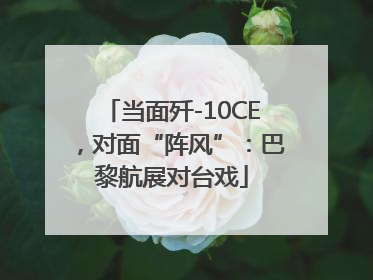当面歼-10CE，对面“阵风”：巴黎航展对台戏