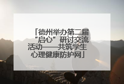 德州举办第二届“启心”研讨交流活动——共筑学生心理健康防护网