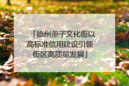 德州董子文化街以高标准信用建设引领街区高质量发展