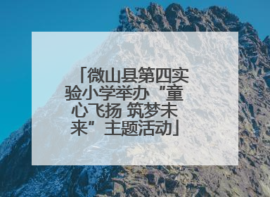 微山县第四实验小学举办“童心飞扬 筑梦未来”主题活动