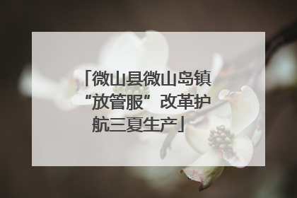 微山县微山岛镇“放管服”改革护航三夏生产