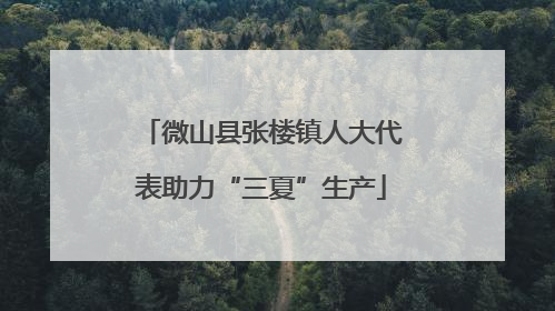 微山县张楼镇人大代表助力“三夏”生产