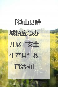 微山县驩城镇应急办开展“安全生产月”教育活动