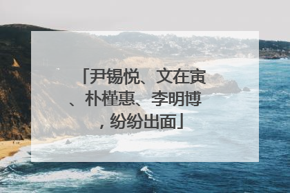 尹锡悦、文在寅、朴槿惠、李明博，纷纷出面
