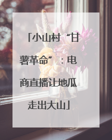 小山村“甘薯革命”：电商直播让地瓜走出大山