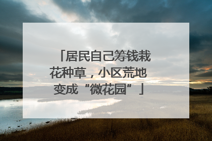 居民自己筹钱栽花种草，小区荒地变成“微花园”
