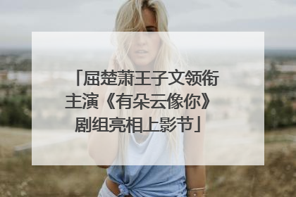 屈楚萧王子文领衔主演《有朵云像你》剧组亮相上影节