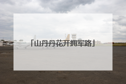 山丹丹花开拥军路