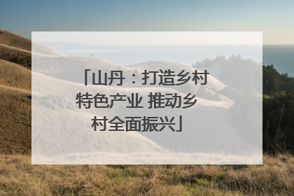 山丹：打造乡村特色产业 推动乡村全面振兴