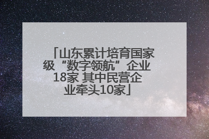 山东累计培育国家级“数字领航”企业18家 其中民营企业牵头10家