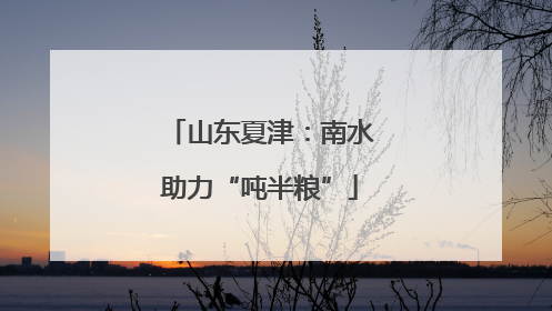 山东夏津：南水助力“吨半粮”
