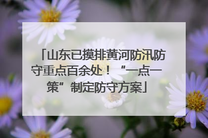山东已摸排黄河防汛防守重点百余处！“一点一策”制定防守方案