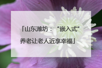 山东潍坊：“嵌入式”养老让老人近享幸福