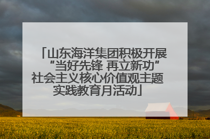 山东海洋集团积极开展“当好先锋 再立新功”社会主义核心价值观主题实践教育月活动