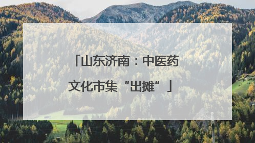 山东济南：中医药文化市集“出摊”