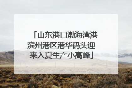 山东港口渤海湾港滨州港区港华码头迎来入夏生产小高峰