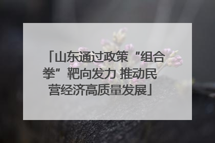 山东通过政策“组合拳”靶向发力 推动民营经济高质量发展