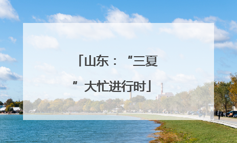 山东：“三夏”大忙进行时
