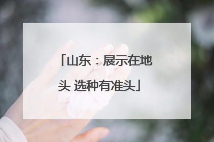山东：展示在地头 选种有准头