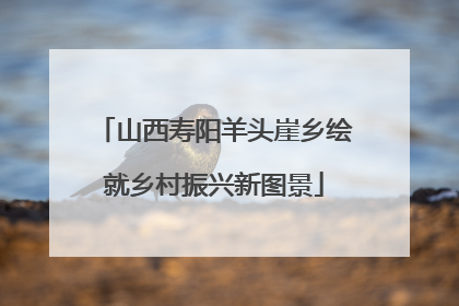 山西寿阳羊头崖乡绘就乡村振兴新图景