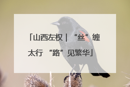 山西左权｜“丝”缠太行 “路”见繁华