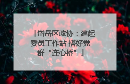 岱岳区政协：建起委员工作站 搭好党群“连心桥”