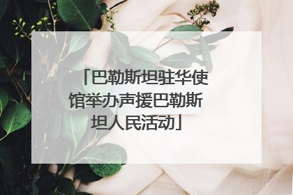 巴勒斯坦驻华使馆举办声援巴勒斯坦人民活动