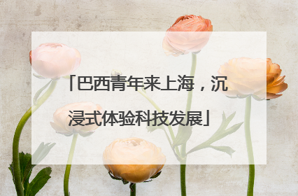 巴西青年来上海，沉浸式体验科技发展