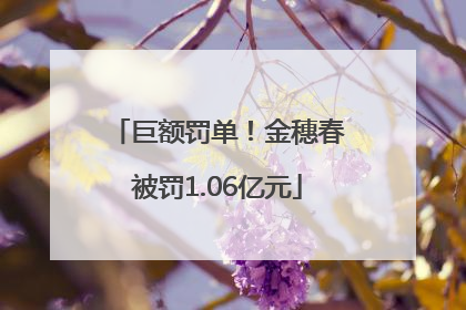 巨额罚单！金穗春被罚1.06亿元