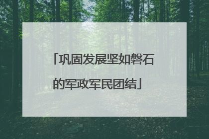 巩固发展坚如磐石的军政军民团结
