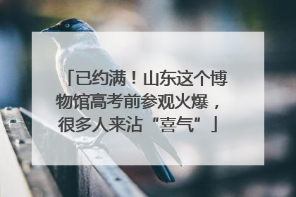 已约满！山东这个博物馆高考前参观火爆，很多人来沾“喜气”