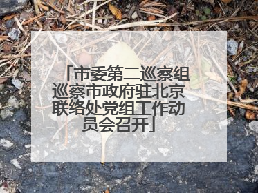市委第二巡察组巡察市政府驻北京联络处党组工作动员会召开