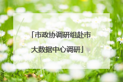 市政协调研组赴市大数据中心调研