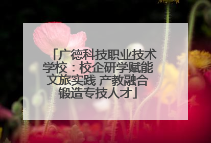 广德科技职业技术学校：校企研学赋能文旅实践 产教融合锻造专技人才