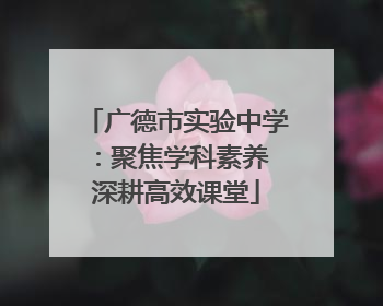 广德市实验中学：聚焦学科素养 深耕高效课堂