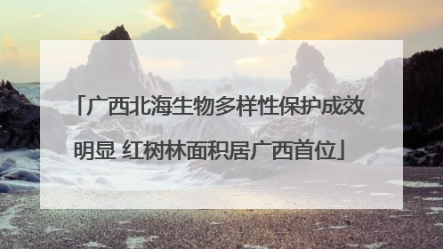 广西北海生物多样性保护成效明显 红树林面积居广西首位